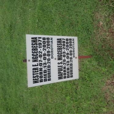 NGCEBESHA Hester E. 1971-2008 :: MGCEBESHA Mapule S. 2007-2008