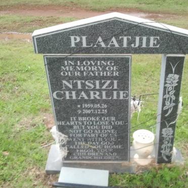 PLAATJIE
