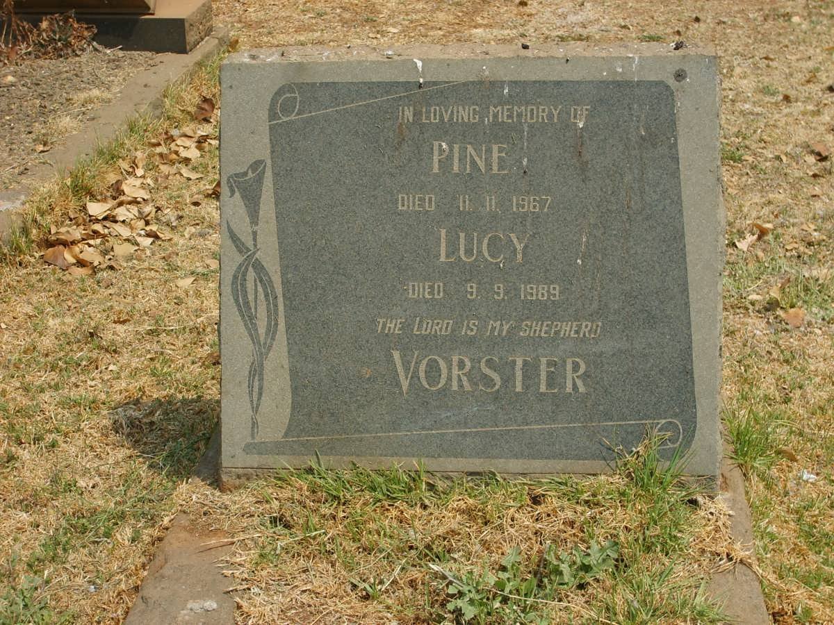 VORSTER Pine -1967 & Lucy -1989