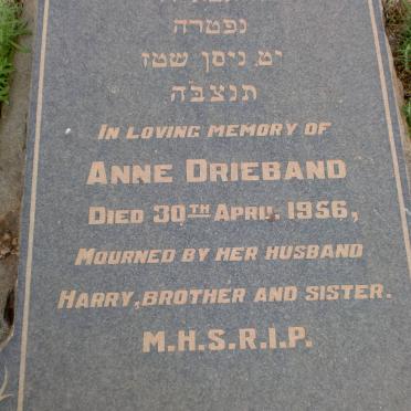 DRIEBAND Anne -1956