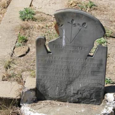 WALT Sarel, v.d. 1850-1924