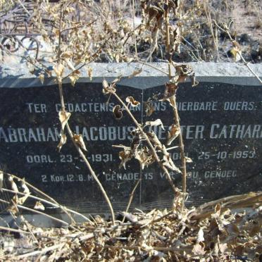 ? Abraham Jacobus -1931 &amp; Hester Catharina -1953