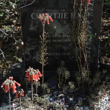 RENSBURG Coertjie H.J., Janse van 1944-2008