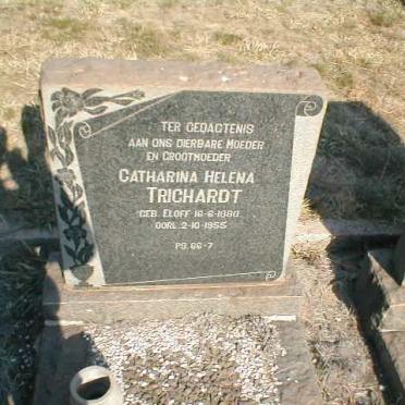 TRICHARDT Catharina Helena nee ELOFF 1880-1955