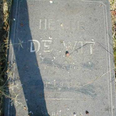WIT Hentie, de 1919-1992