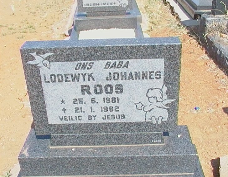 ROOS Lodewyk Johannes 1981-1982