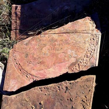 TOIT Cornelius Andries, du 1864-1913