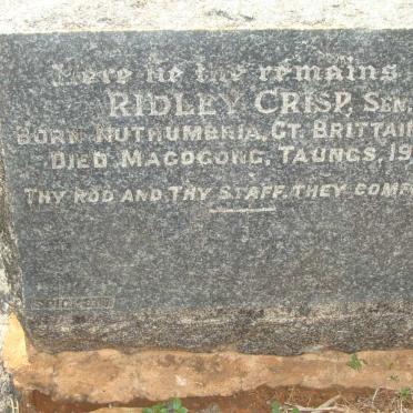 CRISP Ridley 1877-1942