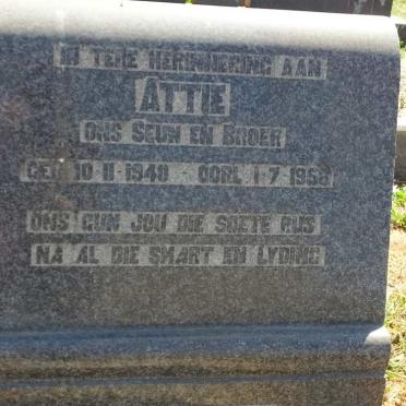 BOTHA Attie 1940-1958