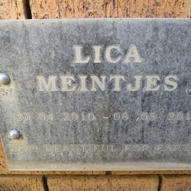 MEINTJES Lica 2010-2010