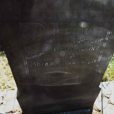 ? Abram :: ? Anna :: ? Japie