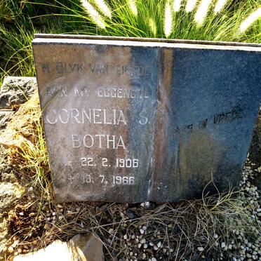 BOTHA Cornelia S. 1906-1966