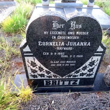 BRITS Rudolph Johannes 1882-1967 & Cornelia Johanna HAYWARD 1882-1966_2
