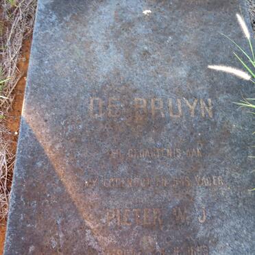 BRUYN Pieter W.J., de 1893 -1976 _1