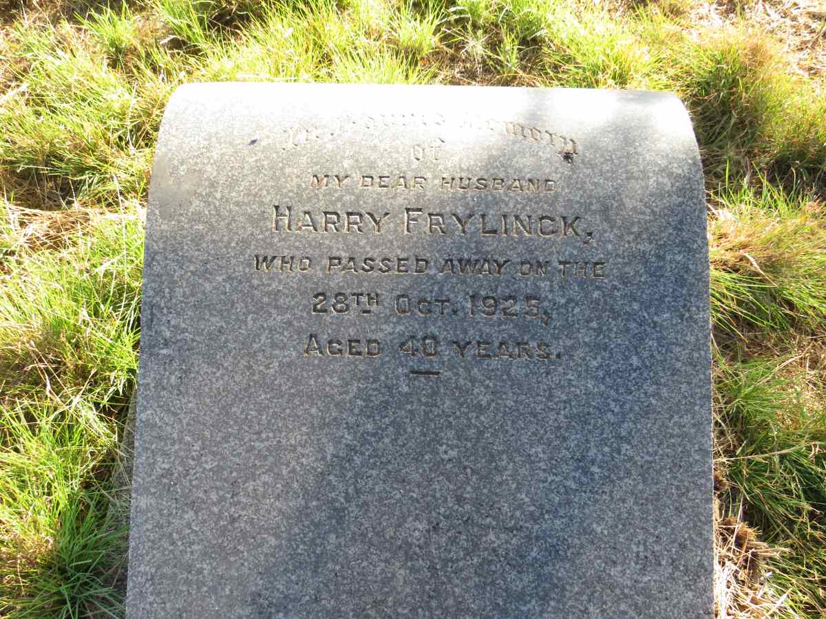 FRYLINCK Harry -1925