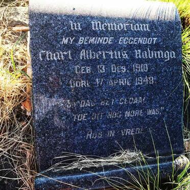 HAVINGA Charl Albertus 1910-1948