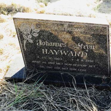 HAYWARD Johannes Steyn 1903-1998 