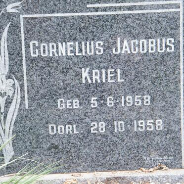 KRIEL Cornelius Jacobus 1958-1958