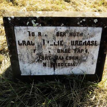 PURCHASE Grace Lillie 