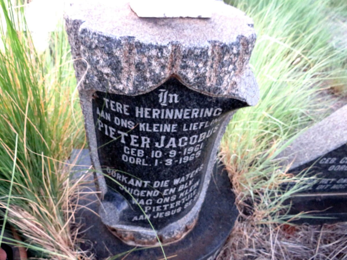 STEYN Johannes Hendrik 1936-1965 & Hester Sophia CELLIERS 1938-1965 :: STEYN Pieter Jacobus 1961-1965 _4