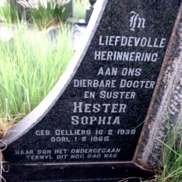 STEYN Johannes Hendrik 1936-1965 & Hester Sophia CELLIERS 1938-1965 :: STEYN Pieter Jacobus 1961-1965 _3