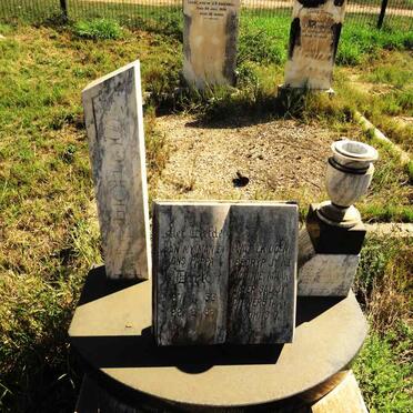 SCHOEMAN Dirk 1953-1988