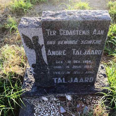 TALJAARD Andre 1954-1955