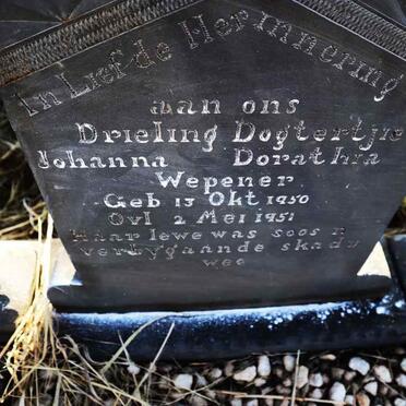WEPENER Johanna Dorathia 1950-1951