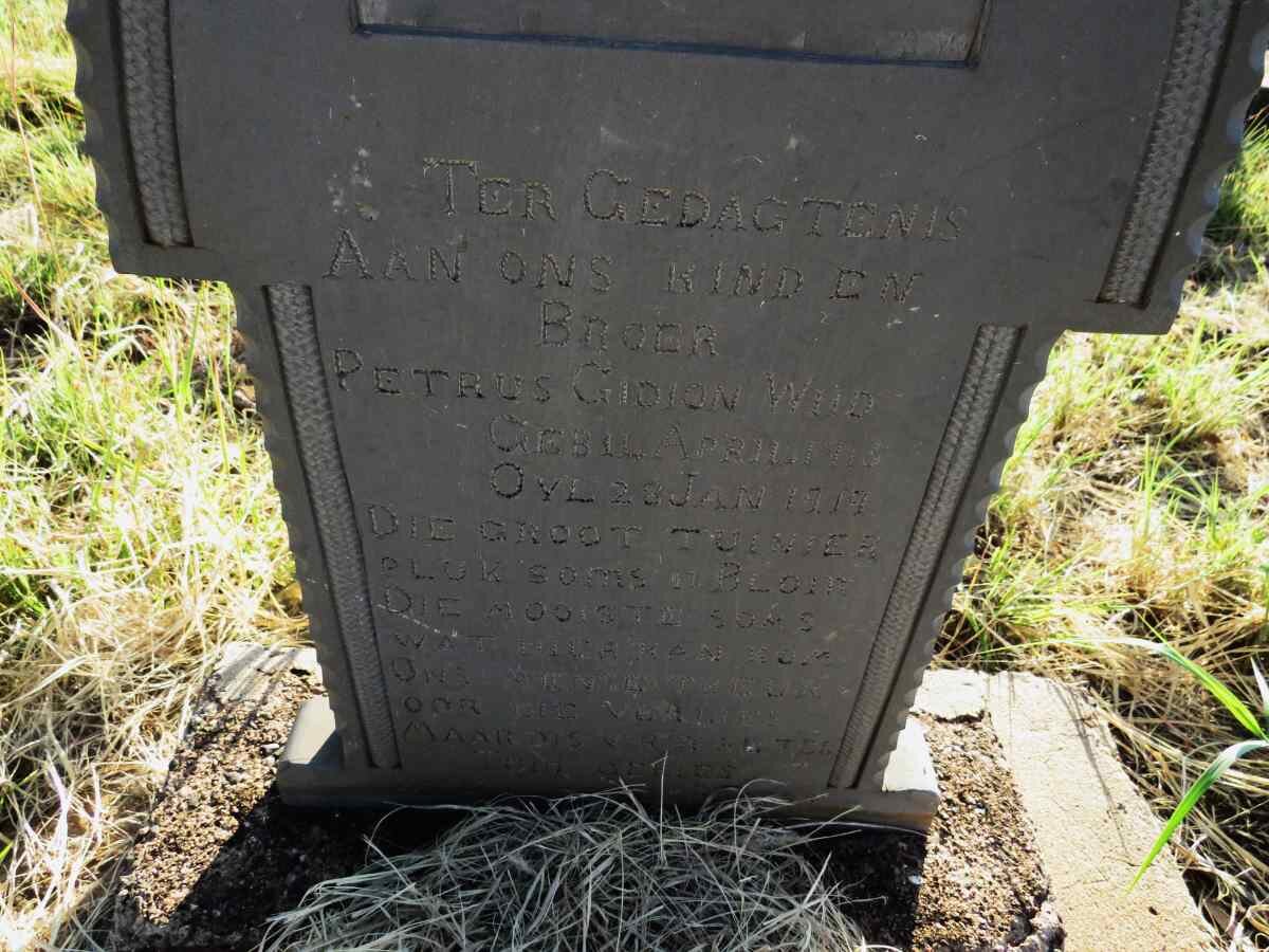 WIID Petrus Gidion 191?-1919