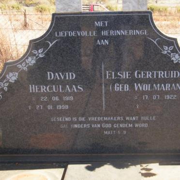 SCHOLTZ David Herculaas 1919-1998 &amp; Elsie Gertruida WOLMARANS 1922-