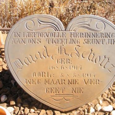 SCHOLTZ David H. 1917-1917
