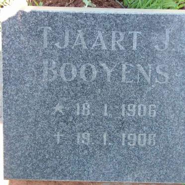BOOYENS Tjaart J. 1906-1906