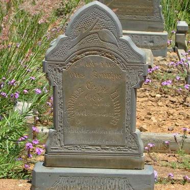 VUUREN Johannes G., J.v. 1933-1933