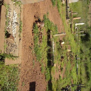 3. Overview
