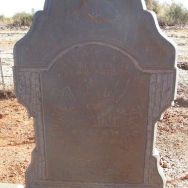 HEEVER Adriaana F. ,v.d. nee ???LER 1879-194?