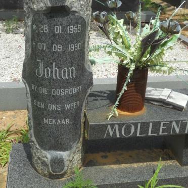 MOLLENTZE Johan 1955-1990