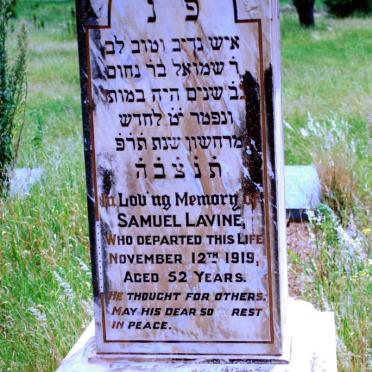 LAVINE Samuel -1919