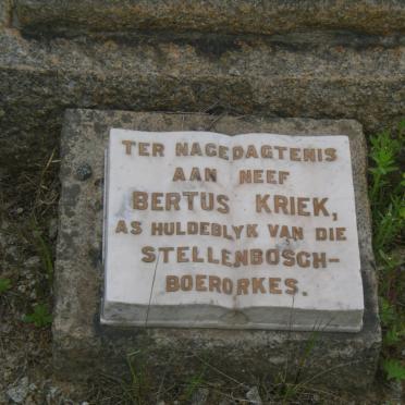 KRIEK Bertus
