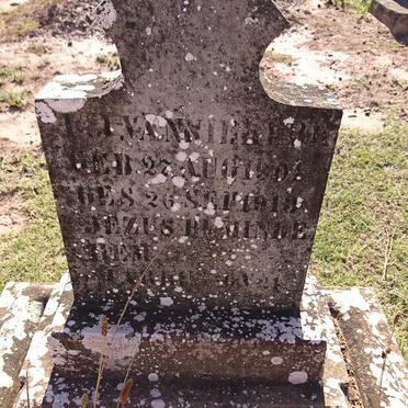 NIEKERK ?.J., van 1901-1913