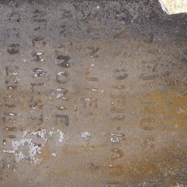 NIEHOLSTER Anthonie 194?-1950