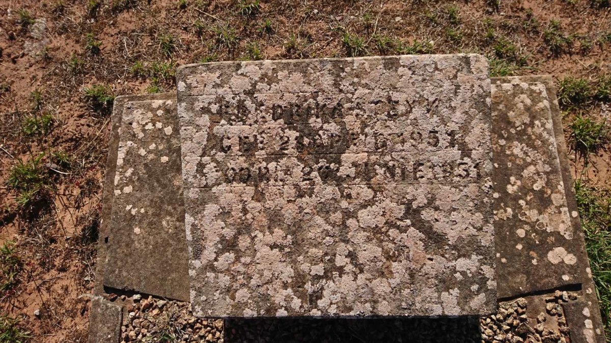 STEYN 1951-1951