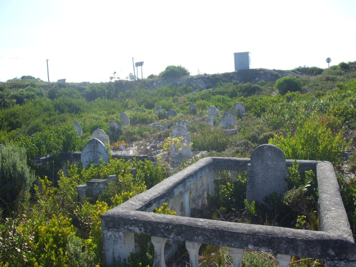 3. Overview