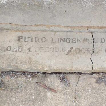 LINGENFELDER Petro 1918-1920