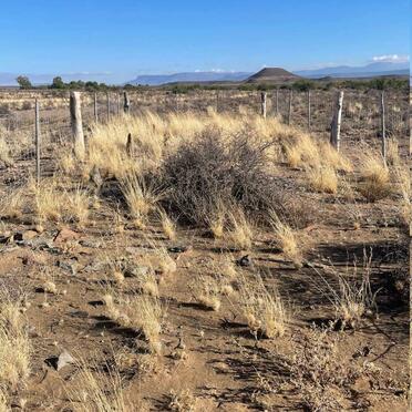 Western Cape, BEAUFORT-WEST district, Steynskraal 177, Steynskraal Gasteplaas, farm cemetery
