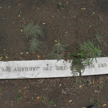 ELLMAN Henry Robert de Beauvoir -1885