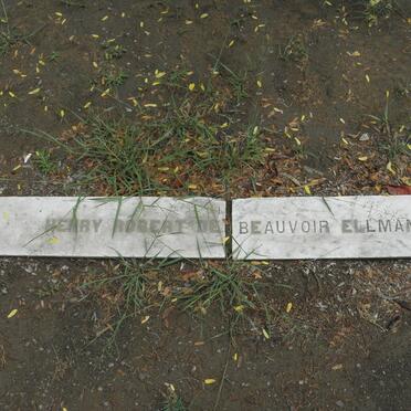 ELLMAN Henry Robert de Beauvoir -1885