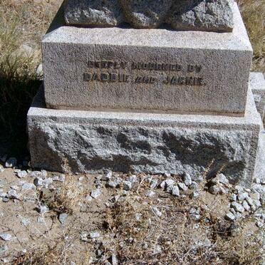 JENKINS Edith nee ROLANDS -1918 