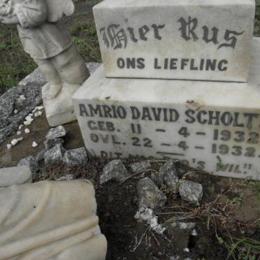 SCHOLTZ Amrio David 1932-1932