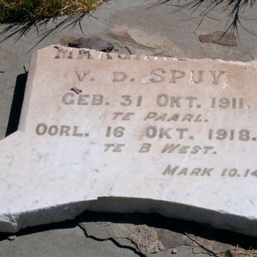 SPUY M., van der 1911-1918