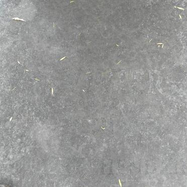 VIVIER Gert Hendrik 1904-